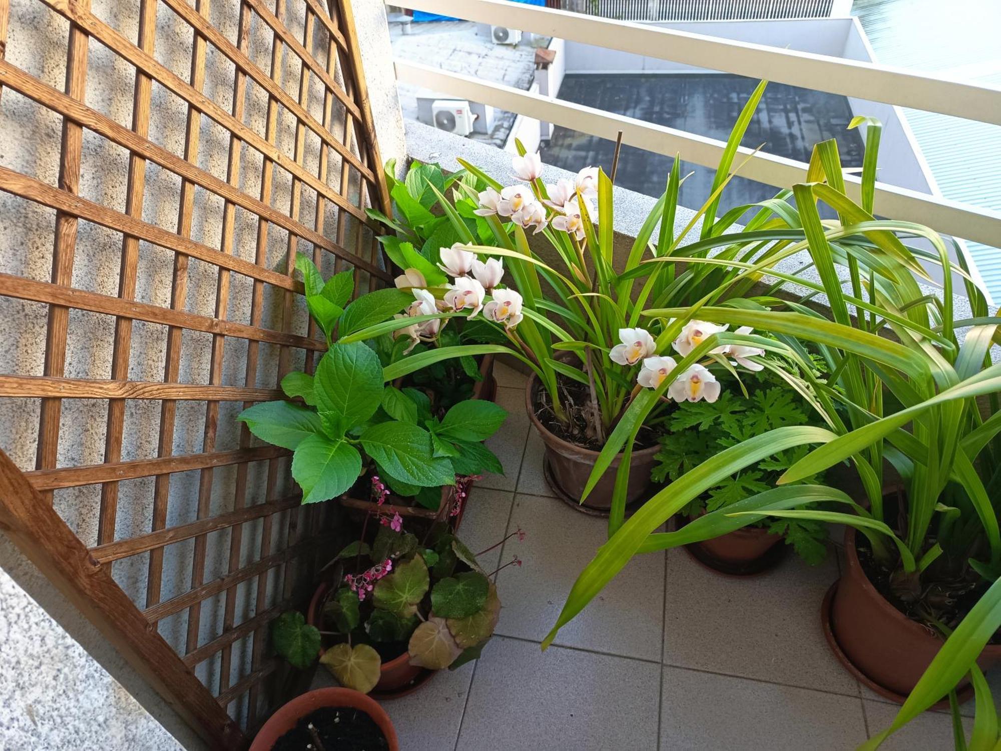 Vivienda Caseiro أورينس المظهر الخارجي الصورة